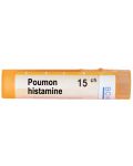 Poumon histaminе 15CH, Boiron - 1t