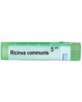 Ricinus communis 5CH, Boiron - 1t