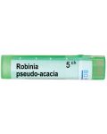 Robinia pseudo-acacia 5CH, Boiron - 1t