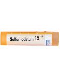 Sulfur iodatum 15CH, Boiron - 1t