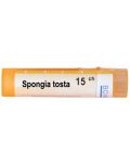 Spongia tosta 15CH, Boiron - 1t