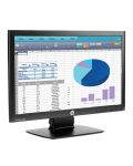 HP ProDisplay P202 20-inch Monitor - 2t