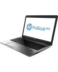 HP ProBook 455 - 3t