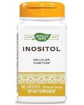 Inositol, 500 mg, 100 капсули, Nature’s Way - 1t