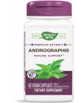 Andrographis, 400 mg, 60 капсули, Nature’s Way - 1t
