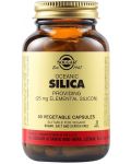 Oceanic Silica, 25 mg, 50 растителни капсули, Solgar - 1t