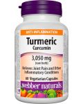 Turmeric Curcumin, 60 капсули, Webber Naturals - 1t