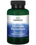 Prostate Essentials, 90 растителни капсули, Swanson - 1t