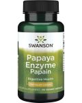Papaya Enzyme Papain, 100 mg, 90 капсули, Swanson - 1t