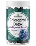 Chlorophyll Detox, 60 дъвчащи таблетки, Swanson - 1t