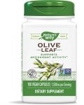 Olive Leaf, 500 mg, 100 капсули, Nature's Way - 1t
