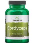 Cordyceps, 600 mg, 120 капсули, Swanson - 1t