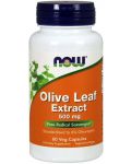Olive Leaf Extract, 500 mg, 60 растителни капсули, Now - 1t