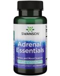 Adrenal Essentials, 60 растителни капсули, Swanson - 1t