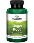 Ginger Root, 540 mg, 100 капсули, Swanson - 1t