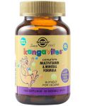 Kangavites, горски плодове, 60 таблетки, Solgar - 1t