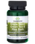 Grape Seed, Green Tea & Pine Bark, 60 капсули, Swanson - 1t