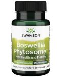 Boswellia Phytosome, 300 mg, 60 капсули, Swanson - 1t