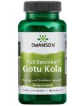 Full Spectrum Gotu Kola, 435 mg, 60 капсули, Swanson - 1t