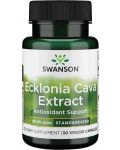 Ecklonia Cava Extract, 30 капсули, Swanson - 1t