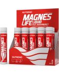 Magneslife, 10 шота, Nutrend - 1t