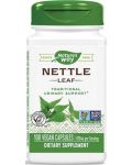 Nettle Leaf, 435 mg, 100 капсули, Nature's Way - 1t