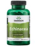 Echinacea, 400 mg, 100 капсули, Swanson - 1t