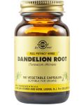Dandelion Root, 100 растителни капсули, Solgar - 1t
