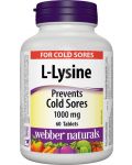 L-Lysine, 1000 mg, 60 таблетки, Webber Naturals - 1t