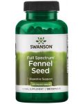 Full Spectrum Fennel Seed, 480 mg, 100 капсули, Swanson - 1t