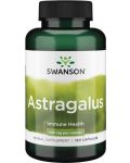 Astragalus, 500 mg, 120 капсули, Swanson - 1t