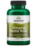 Stinging Nettle Root, 100 капсули, Swanson - 1t