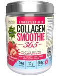 Collagen Smoothie 365, ягоди, 300 g, Cvetita Herbal - 1t