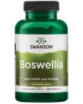 Boswellia, 400 mg, 100 капсули, Swanson - 1t