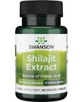 Shilajit Extract, 400 mg, 60 капсули, Swanson - 1t