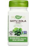 Gotu kola, 475 mg, 100 капсули, Nature’s Way - 1t