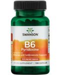 Vitamin B6 Pyridoxine, 100 mg, 100 капсули, Swanson - 1t