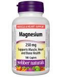 Magnesium, 250 mg, 100 каплети, Webber Naturals - 1t