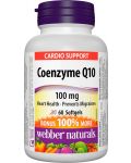 Coenzyme Q10, 100 mg, 60 софтгел капсули, Webber Naturals - 1t