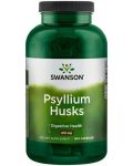 Psyllium Husks, 610 mg, 300 капсули, Swanson - 1t
