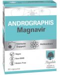 Andrographis Magnavir, 30 капсули, Magnalabs - 1t