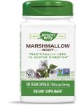 Marshmallow Root, 480 mg, 100 капсули, Nature's Way - 1t