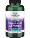 Triple Magnesium Complex, 400 mg, 300 капсули, Swanson - 1t