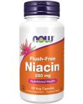 Flush-Free Niacin, 250 mg, 90 растителни капсули, Now - 1t