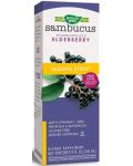 Sambucus Immune Syrup, 240 ml, Nature’s Way - 1t
