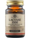 Lactase 3500, 30 дъвчащи таблетки, Solgar - 1t