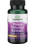 Mega Tribulus Extract, 250 mg, 60 капсули, Swanson - 1t