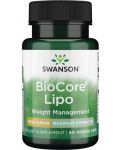 BioCore Lipo, 60 растителни капсули, Swanson - 1t