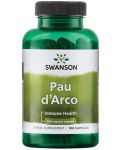 Pau d’Arco, 500 mg, 100 капсули, Swanson - 1t