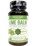 Lime Balm, 300 mg, 60 капсули, Cvetita Herbal - 1t